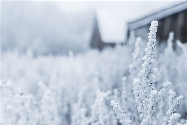 夢見冰雪是什麼意思