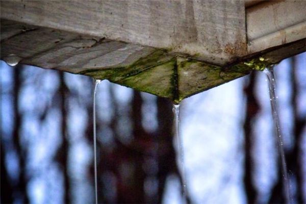 夢見屋裏漏雨是什麼意思