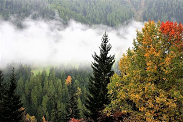 夢見山上下雨是什麼意思