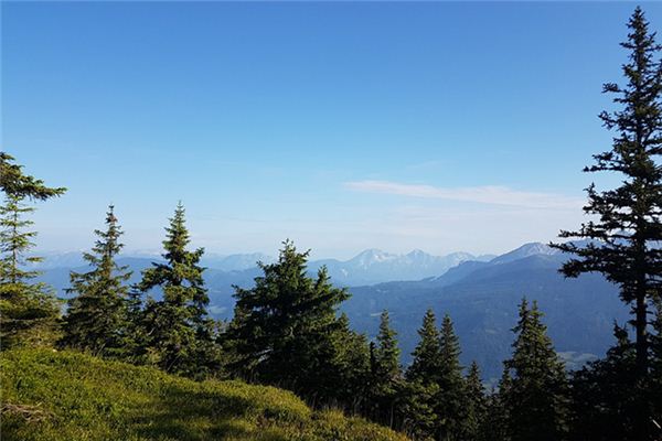 夢見山林是什麼意思