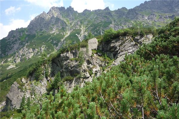 夢見挖山是什麼意思