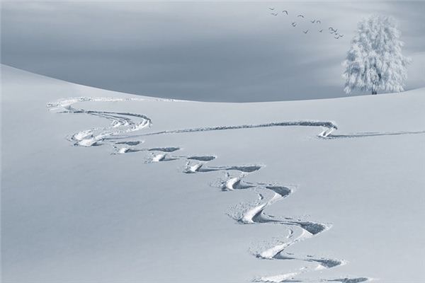 夢見掃雪是什麼意思