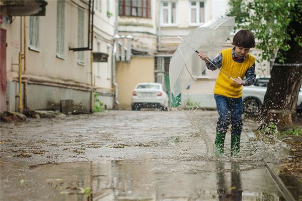 夢見掉進水坑是什麼意思