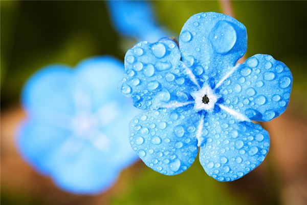 夢見春天細雨是什麼意思