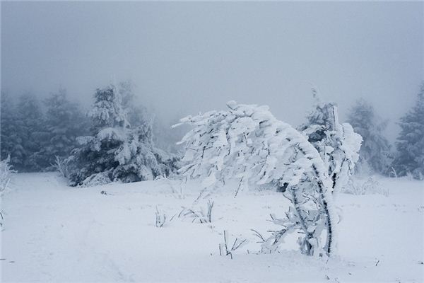 夢見暴風雪是什麼意思