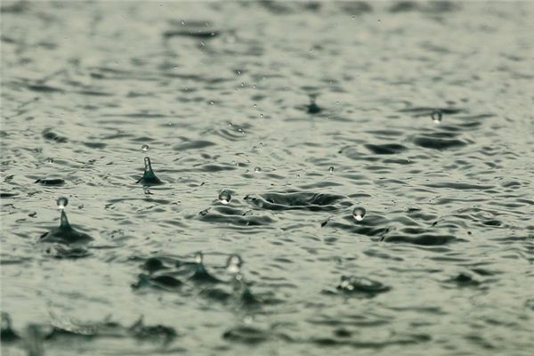 夢見梅雨是什麼意思