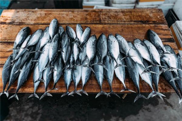 夢見死魚是什麼意思