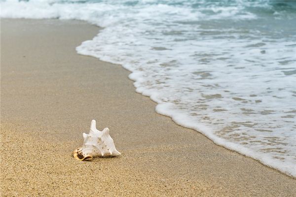 夢見海岸是什麼意思