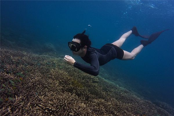 夢見潛水是什麼意思