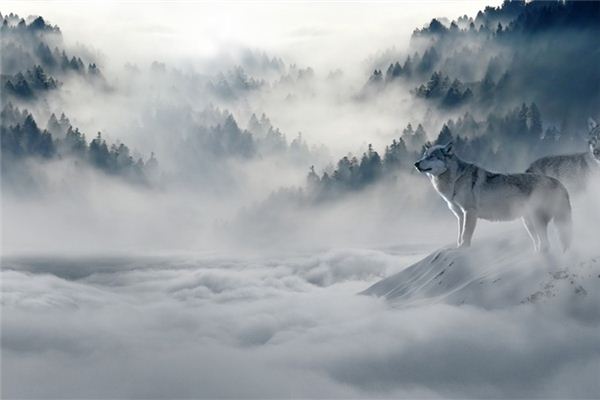 夢見虎狼是什麼意思