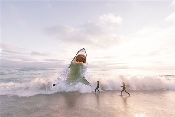 夢見被魚喫是什麼意思