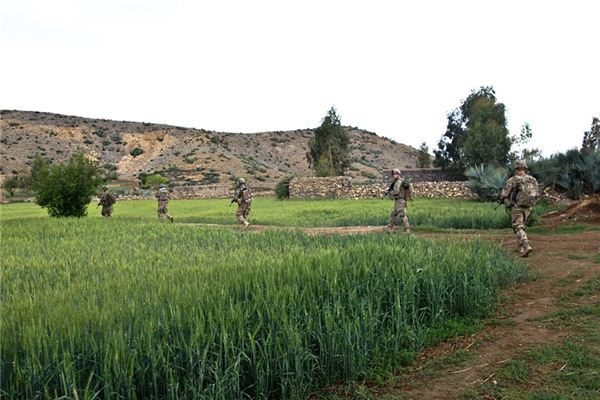 夢見逃兵是什麼意思