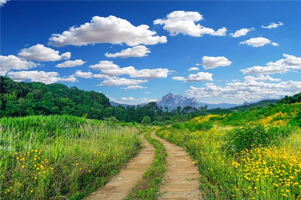 夢見鄉間小路是什麼意思