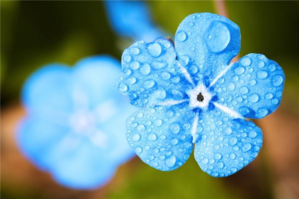 夢見雨停了是什麼意思