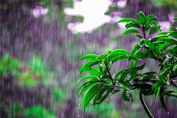 夢見雨水是什麼意思