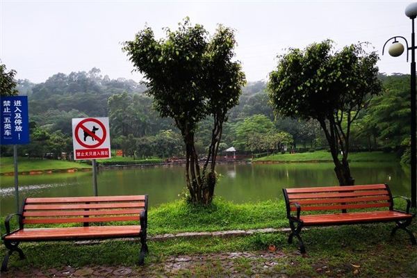 夢見雨水淋溼花草