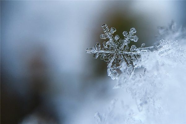 夢見露成霜雪是什麼意思