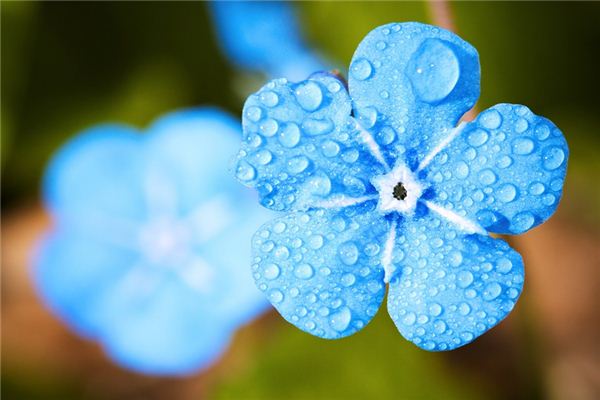 夢見露水是什麼意思