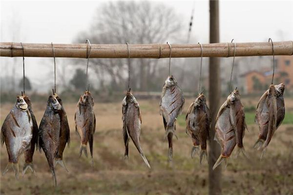 夢見鹹魚是什麼意思